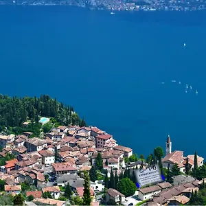 Cepo Tremosine